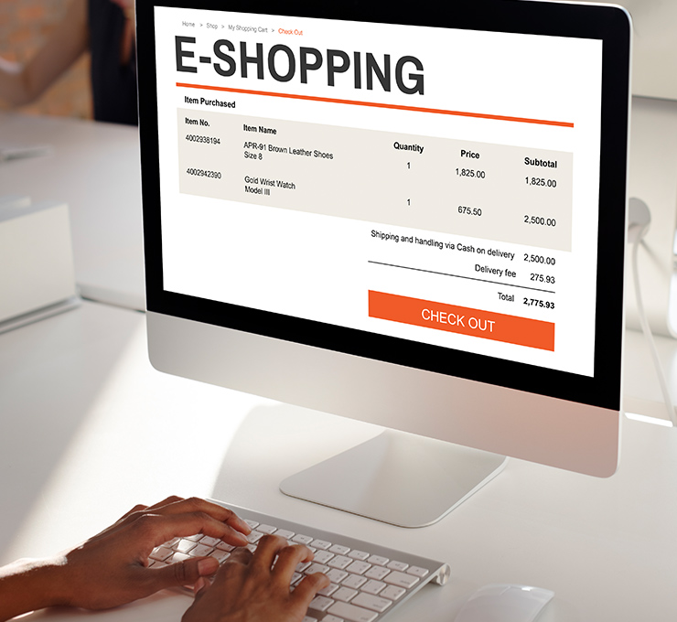 Ecommerce Website Development