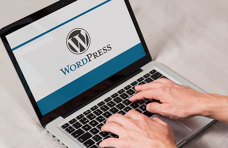 WordPress Development Company