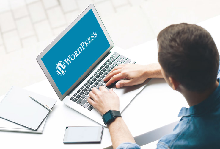 Wordpress Development Company